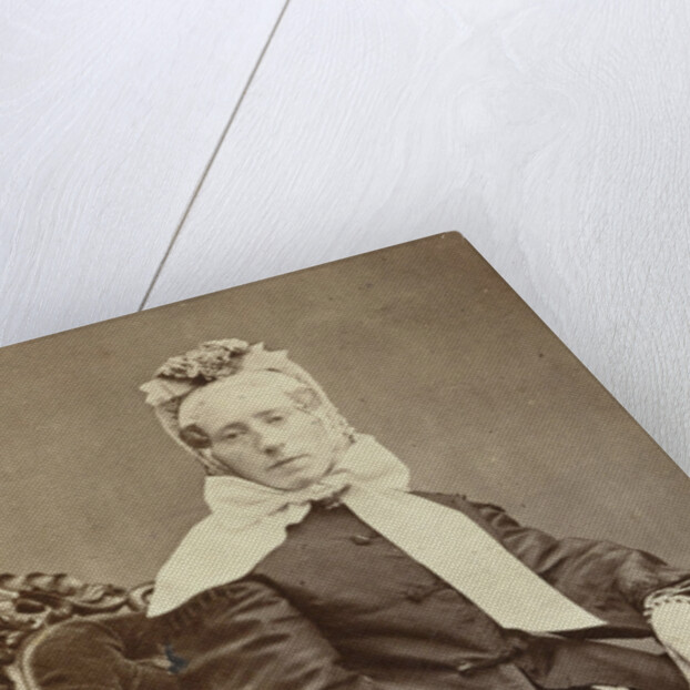 Portrait of a woman by H.P.J. Schuiten