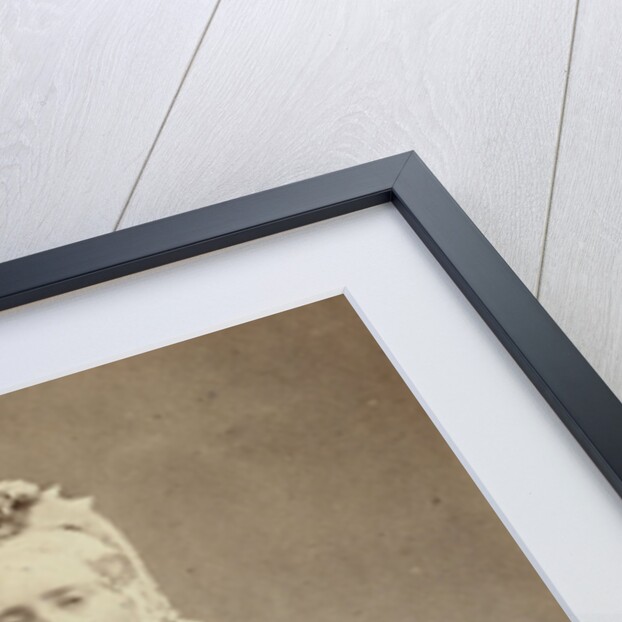 Portrait of a woman by H.P.J. Schuiten