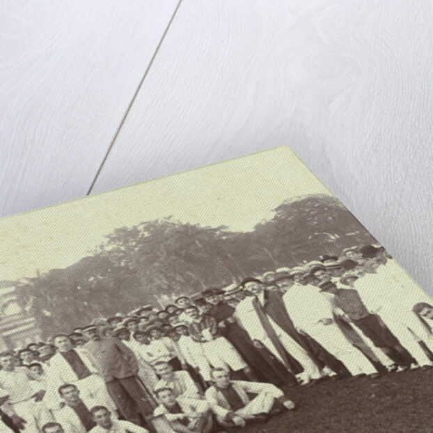 Oliveo Champion Batavia 1905, Indonesia by Busenbender & Co.