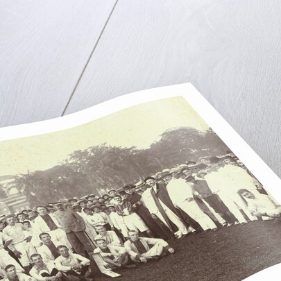 Oliveo Champion Batavia 1905, Indonesia by Busenbender & Co.