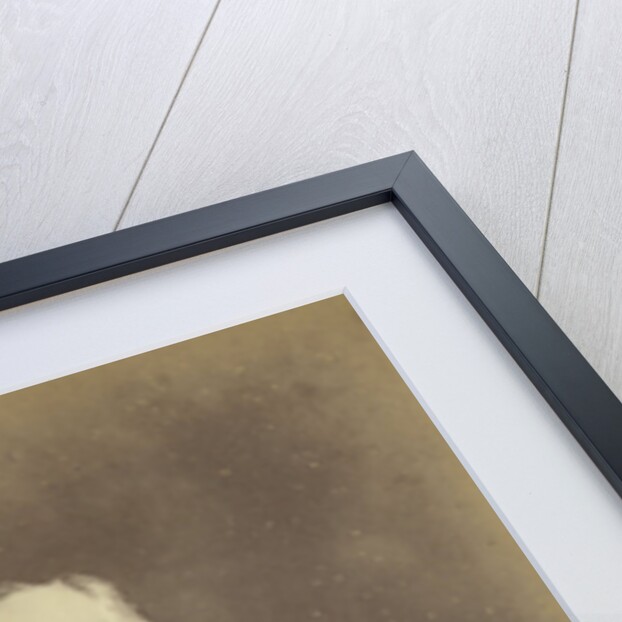 Studio Portrait of M. de Lange on Java Indonesia in his military uniform by Anonymous