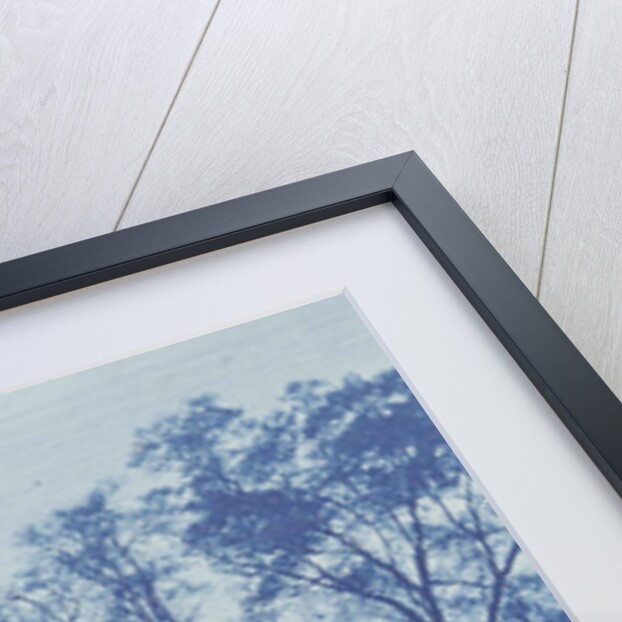 Sgt. Jasper Memorial, Madison Square, Savannah City, Georgia, United States by Anonymous