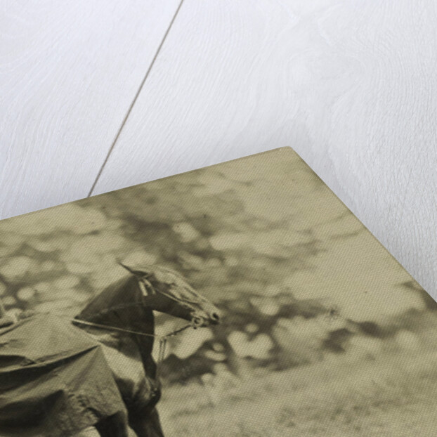 Woman on horseback by Anonymous