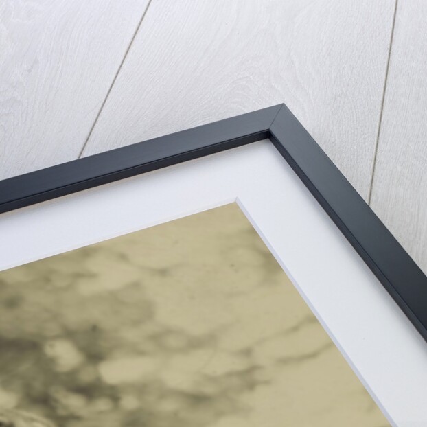 Woman on horseback by Anonymous