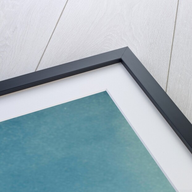 Grain Elevator (Farmer's Elevator), Kingfisher, Oklahoma, United States, with train by Anonymous