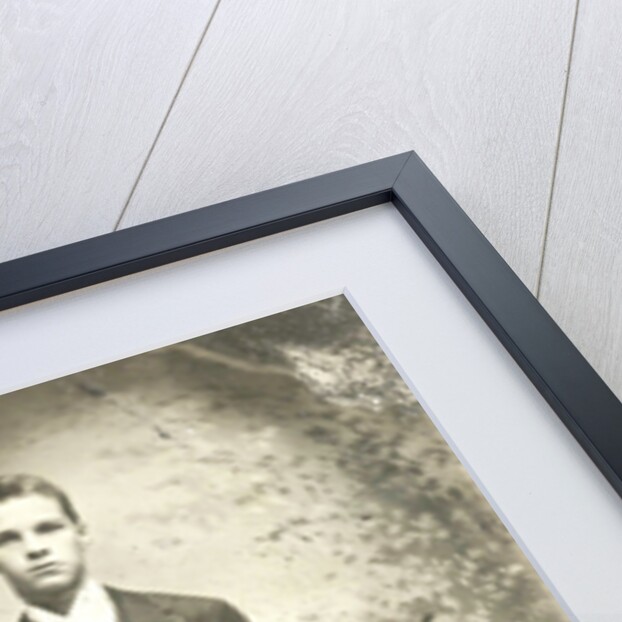 Portrait of a young man standing in front of a painted backdrop, balustrade with vase by Anonymous