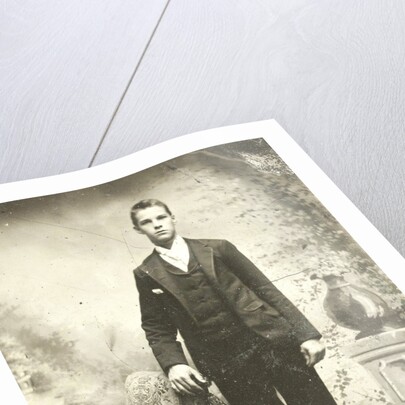 Portrait of a young man standing in front of a painted backdrop, balustrade with vase by Anonymous