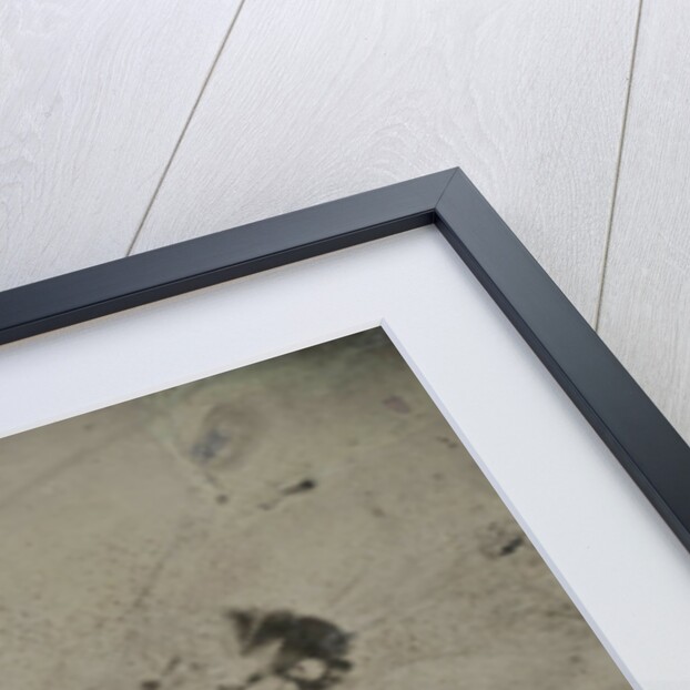 Portrait of a man who is kneeling in three women and two of them holding a hand by Anonymous