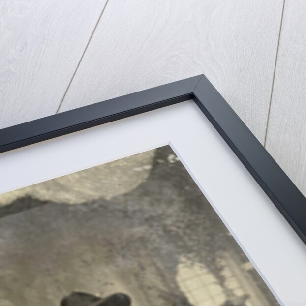 Portrait of two men and two women, one of whom looks away laughing, standing and sitting in front of a painted backdrop by Anonymous