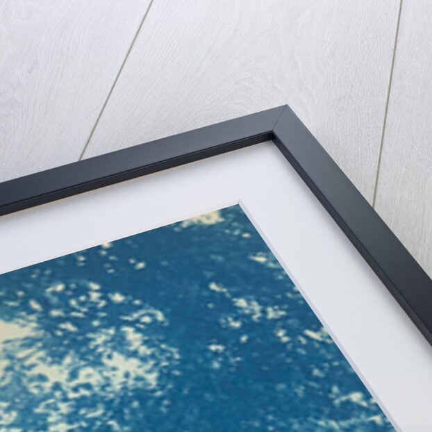 standing in an tree (willow) by Anonymous