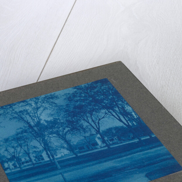 Wooden houses with trees, USA by Anonymous