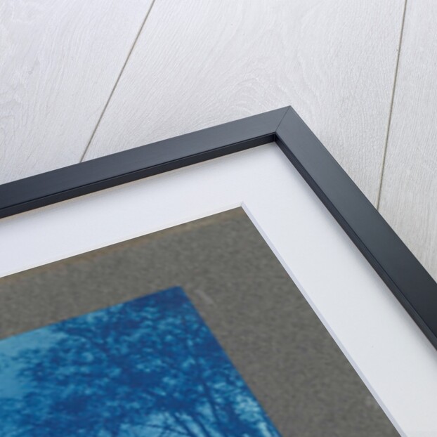 Wooden houses with trees, USA by Anonymous