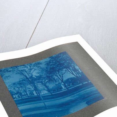 Wooden houses with trees, USA by Anonymous