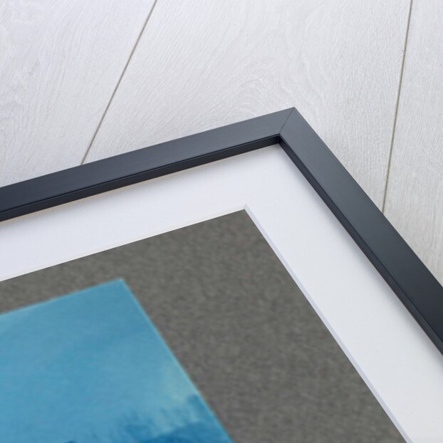 Man standing on a clothesline in a garden, USA by Anonymous