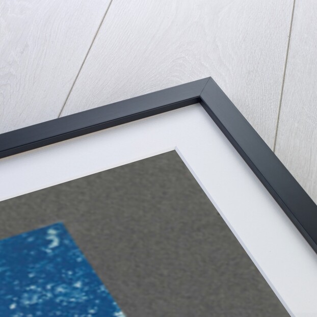 Man holds horse by the reins, United States, USA by Anonymous