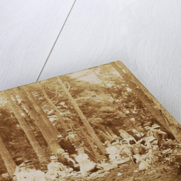 Group portrait of 23 men and women during a picnic in a forest by Henry Pauw van Wieldrecht