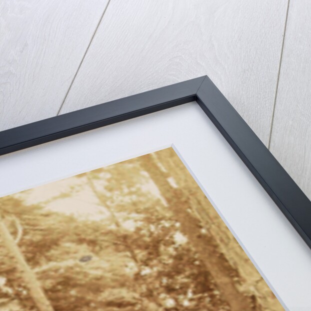 Group portrait of 23 men and women during a picnic in a forest by Henry Pauw van Wieldrecht