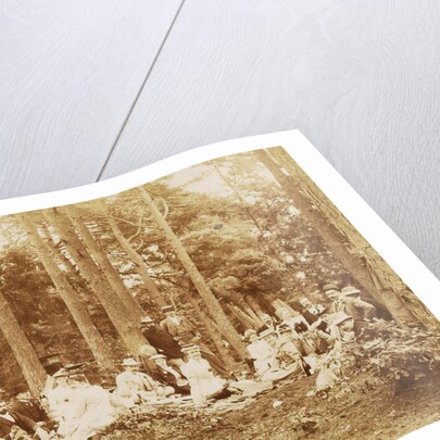 Group portrait of 23 men and women during a picnic in a forest by Henry Pauw van Wieldrecht
