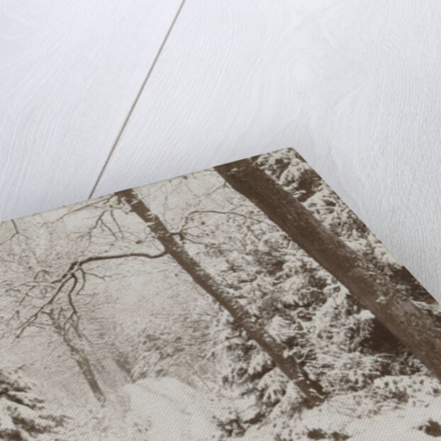 snowy forest by Henry Pauw van Wieldrecht