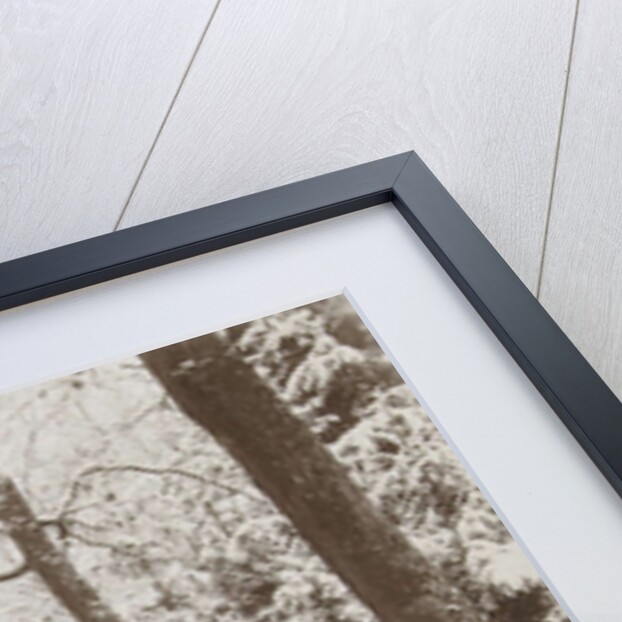 snowy forest by Henry Pauw van Wieldrecht