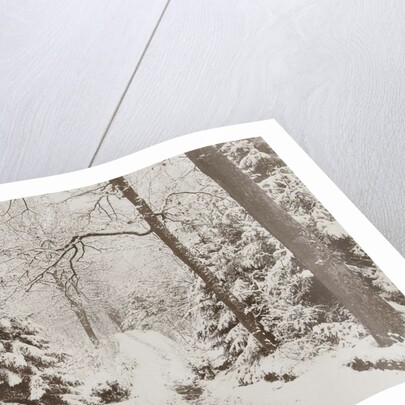 snowy forest by Henry Pauw van Wieldrecht