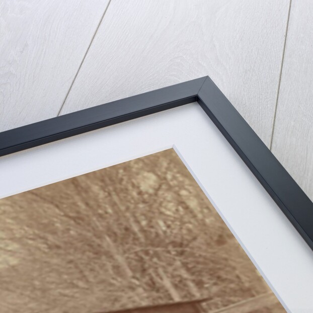 Group portrait of five men with tennis rackets on tennis court, second from right Henry Pauw van Wieldrecht by Henry Pauw van Wieldrecht
