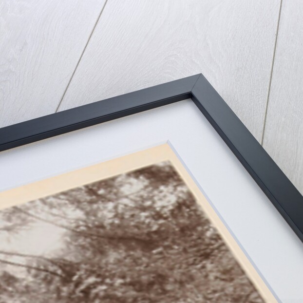 Maarten Pauw van Wieldrecht with dagger efflorescent against offensively (set up) wild boar by Henry Pauw van Wieldrecht