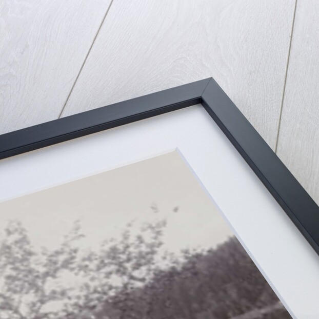 Trees Lakeside (Norway?) by Henry Pauw van Wieldrecht