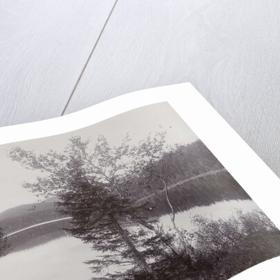 Trees Lakeside (Norway?) by Henry Pauw van Wieldrecht