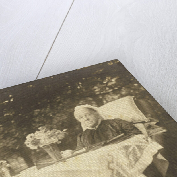 Portrait of Anna Cornelia Aletta Voombergh (1828-1913), the mother of the photographer by Henry Pauw van Wieldrecht