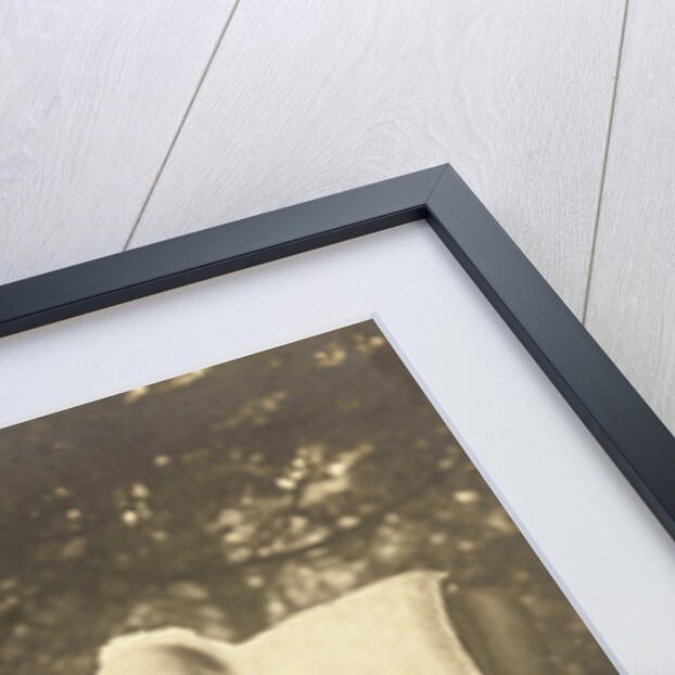 Portrait of Anna Cornelia Aletta Voombergh (1828-1913), the mother of the photographer by Henry Pauw van Wieldrecht