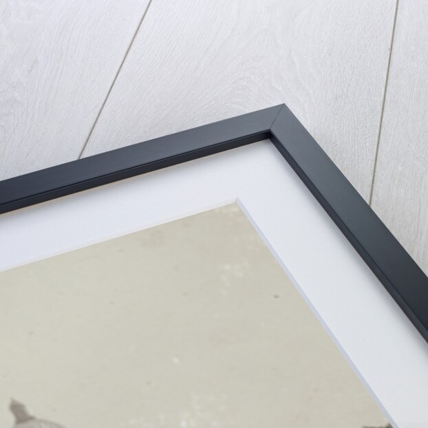 Dome of St. Isaac's Cathedral, designed by Auguste Montferrand, St. Petersburg, Russia by Henry Pauw van Wieldrecht