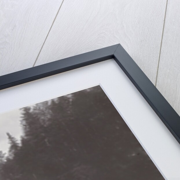 Rapids Imatra in Finland with a view of a bridge over the river by Henry Pauw van Wieldrecht