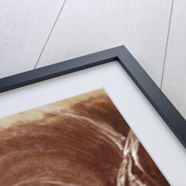 Piedigrotta Naples, Napoli, Italy by Giorgio Sommer