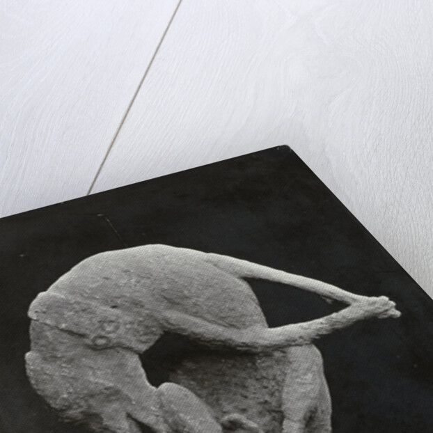 Pompeii impronte, Italy by Giorgio Sommer