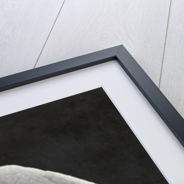 Pompeii impronte, Italy by Giorgio Sommer