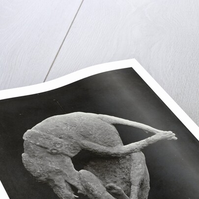 Pompeii impronte, Italy by Giorgio Sommer