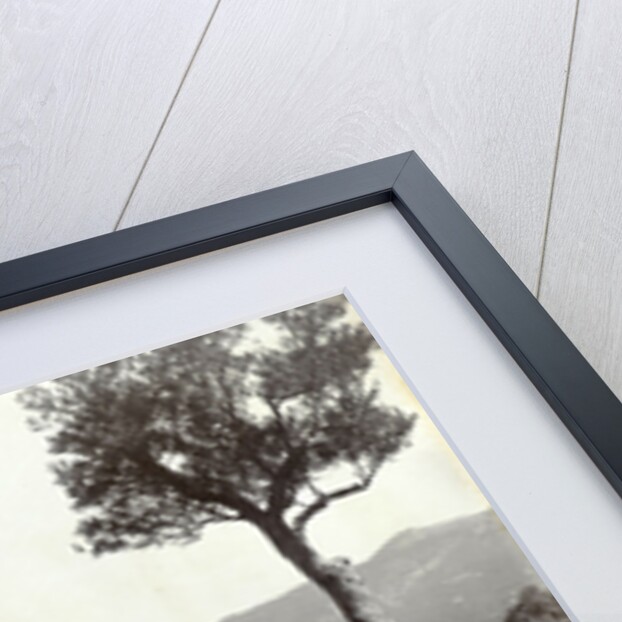 Sorrento, Italy by Giorgio Sommer