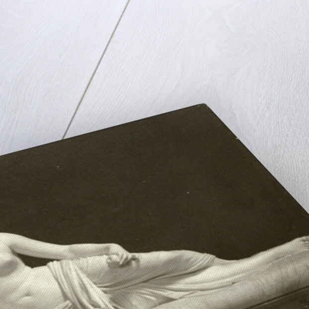 Roma Pauline Bonaparte by Anonymous