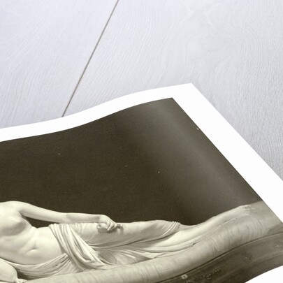 Roma Pauline Bonaparte by Anonymous