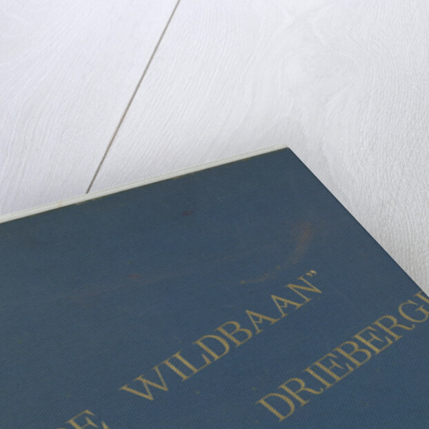 The Wildbaan, Driebergen, 1903-1907 by Henry Pauw van Wieldrecht