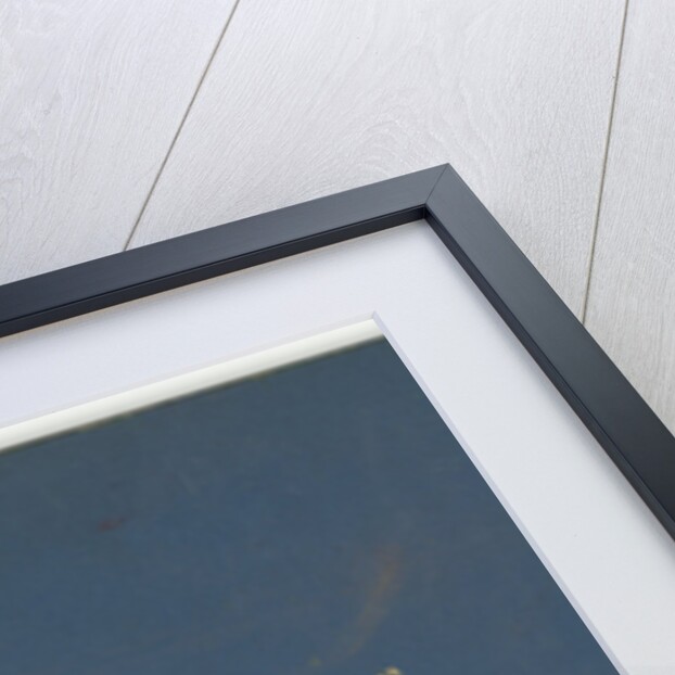 The Wildbaan, Driebergen, 1903-1907 by Henry Pauw van Wieldrecht