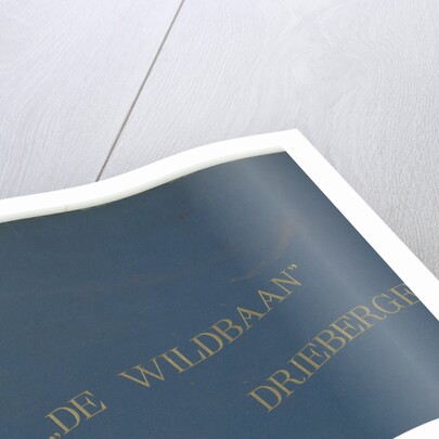 The Wildbaan, Driebergen, 1903-1907 by Henry Pauw van Wieldrecht