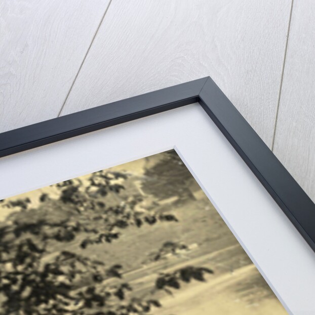 Two men and two women in a rowboat on a lake by Anonymous