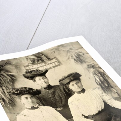 Portrait of three women standing and sitting in a studio setting, and behind them a sign that read AT SCHLITZ PARK MILWAUKEE by Anonymous
