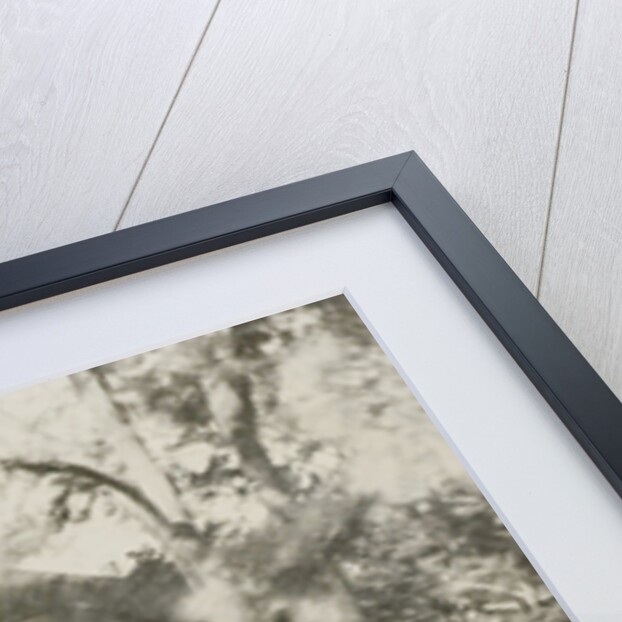 View of a wooden house, with five people and a dog by Anonymous