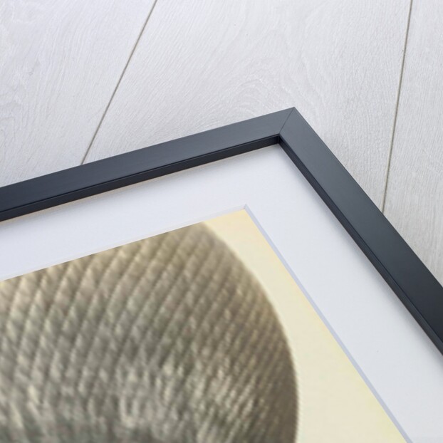 The third Gordon Bennett balloon race by Anonymous