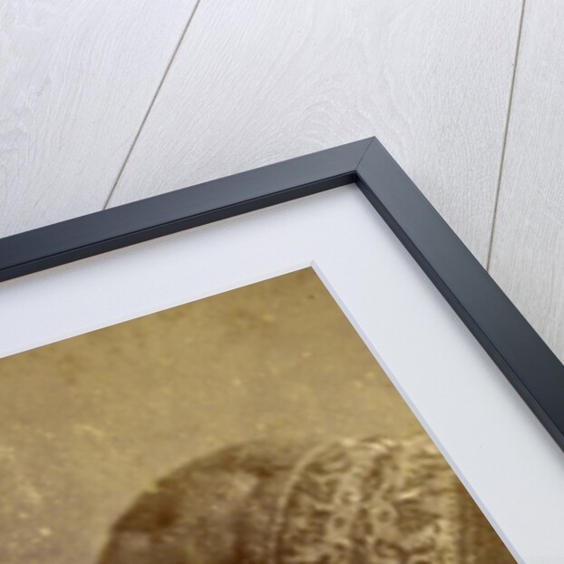 Portrait of a baby on a chair by Kameke