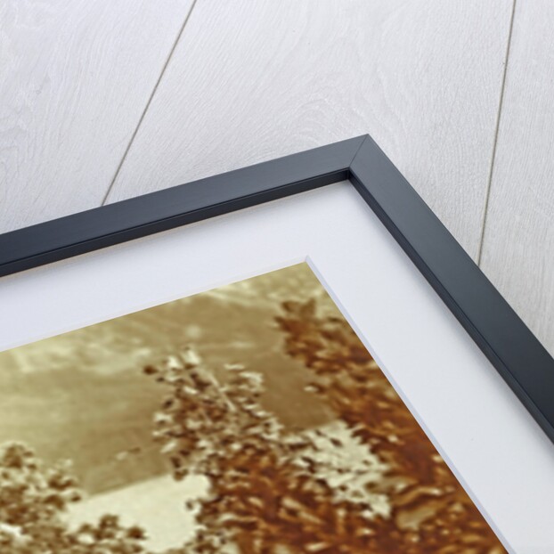 Woman on a terrace by Anonymous