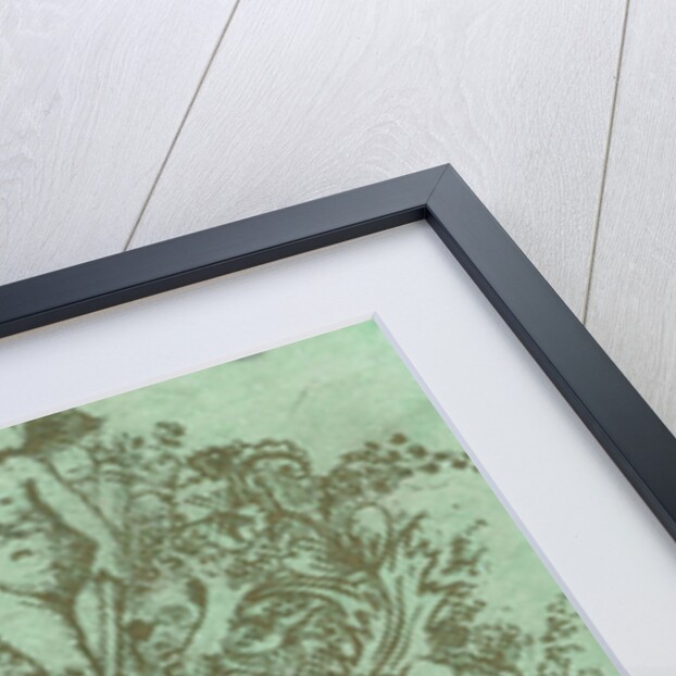 Portrait of a Man by Anonymous